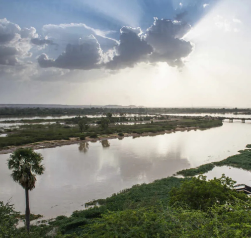 Fleuve Niger